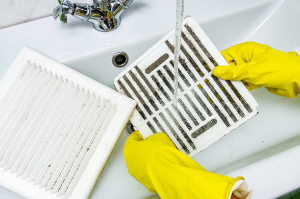 Best Professional Duct Cleaning Services  in Las Maravillas, NM